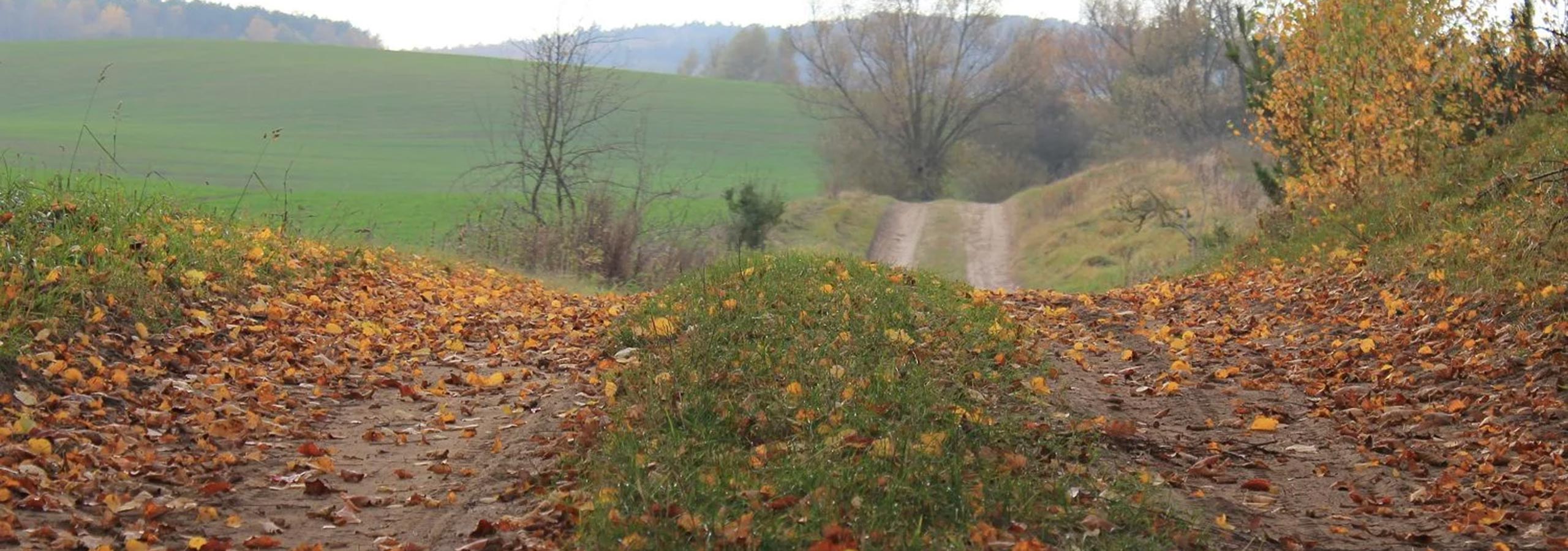 Angebote für Einzelne